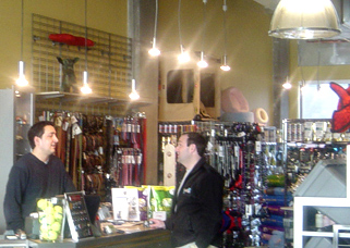 Scraps Dog Bakery retail lighting